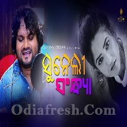 Suneli Sandhya - Human Sagar